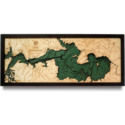 Lake Livingston - Dark Frame