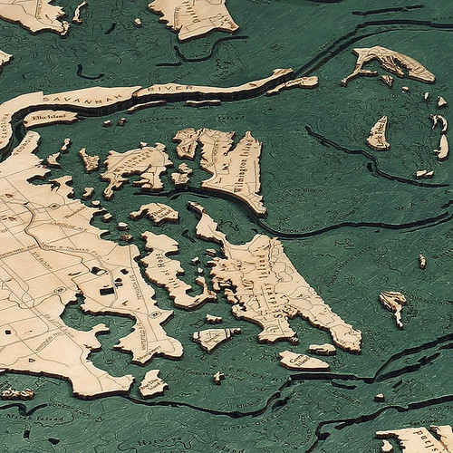 Savannah - Dark Frame